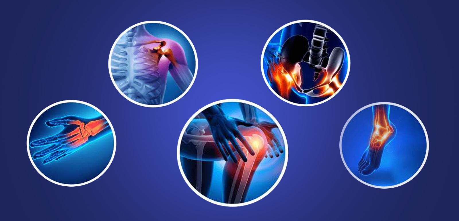 Orthopedic Specialist
